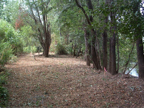 Dry Creek 9-5-12 looking upstream at channel area