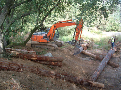 Dry Creek construction of log structure