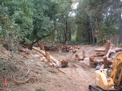 Dry Creek backwater channel 