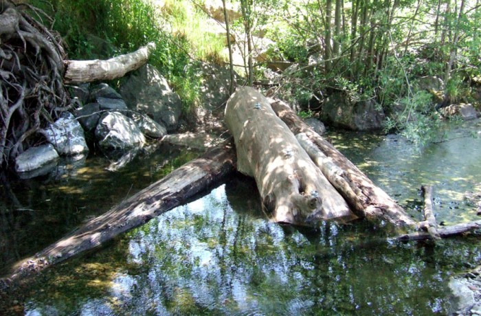 Log Habitat